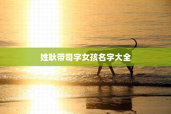 姓耿带司字女孩名字大全