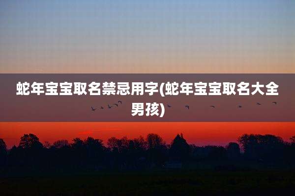 蛇年宝宝取名禁忌用字(蛇年宝宝取名大全男孩)