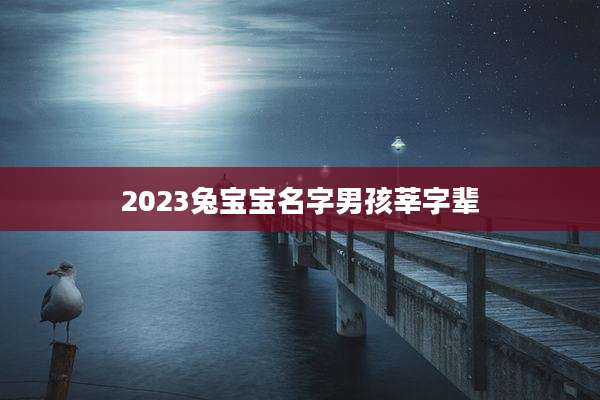 2023兔宝宝名字男孩莘字辈
