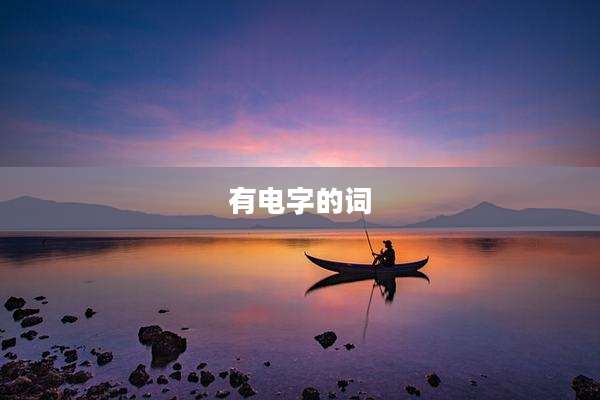 有电字的词