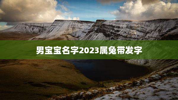 男宝宝名字2023属兔带发字