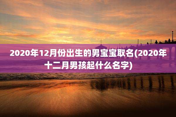 2020年12月份出生的男宝宝取名(2020年十二月男孩起什么名字)