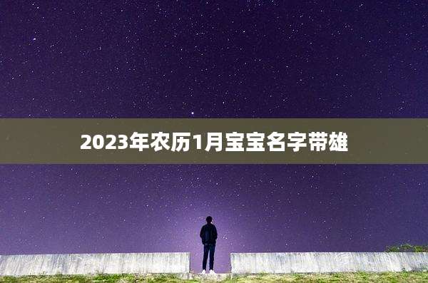 2023年农历1月宝宝名字带雄