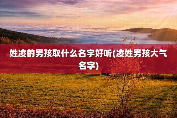 姓凌的男孩取什么名字好听(凌姓男孩大气名字)