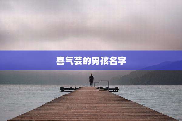 喜气芸的男孩名字