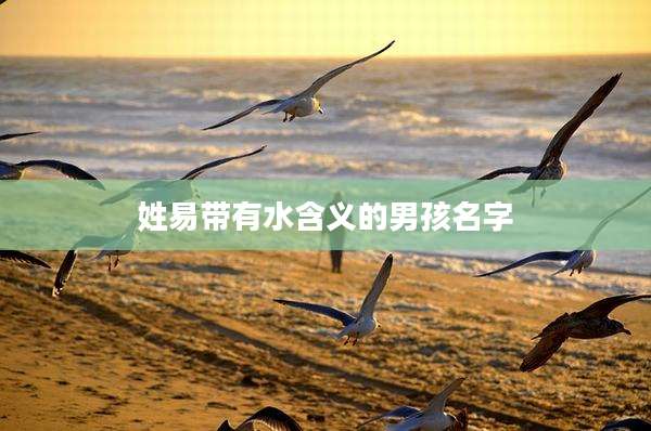 姓易带有水含义的男孩名字
