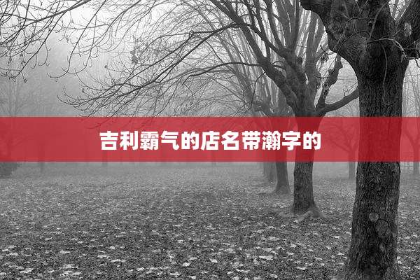 吉利霸气的店名带瀚字的