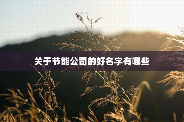 关于节能公司的好名字有哪些