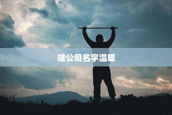 啥公司名字温暖