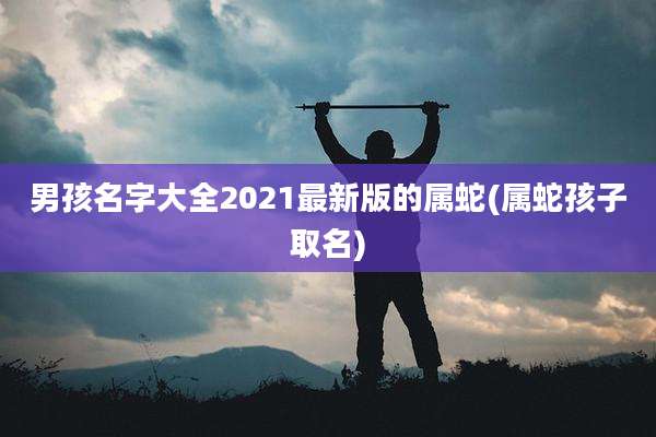 男孩名字大全2021最新版的属蛇(属蛇孩子取名)