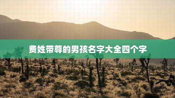 费姓带尊的男孩名字大全四个字