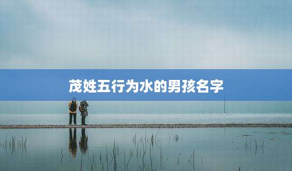 茂姓五行为水的男孩名字