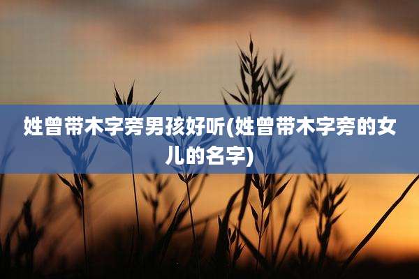 姓曾带木字旁男孩好听(姓曾带木字旁的女儿的名字)