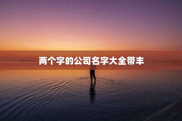 两个字的公司名字大全带丰