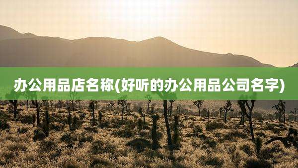 办公用品店名称(好听的办公用品公司名字)