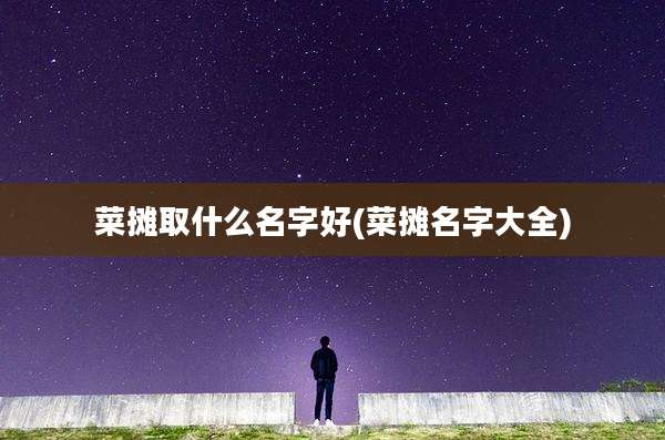 菜摊取什么名字好(菜摊名字大全)