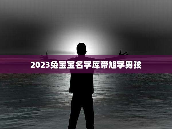 2023兔宝宝名字库带旭字男孩