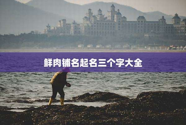 鲜肉铺名起名三个字大全