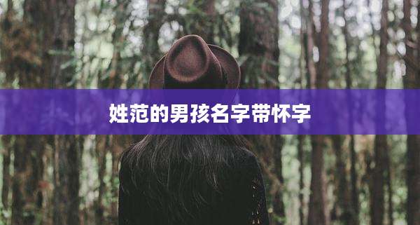姓范的男孩名字带怀字