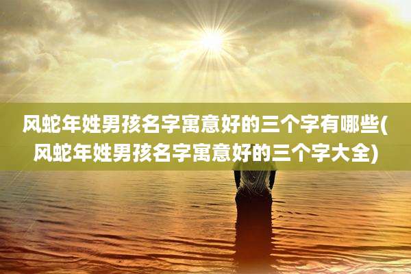 风蛇年姓男孩名字寓意好的三个字有哪些(风蛇年姓男孩名字寓意好的三个字大全)