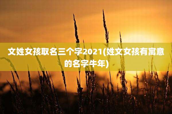 文姓女孩取名三个字2021(姓文女孩有寓意的名字牛年)