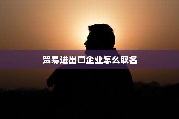 贸易进出口企业怎么取名