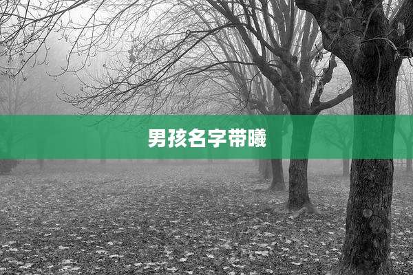 男孩名字带曦
