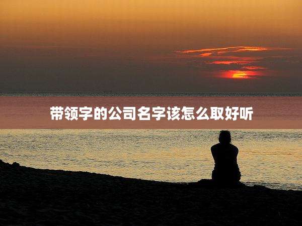 带领字的公司名字该怎么取好听