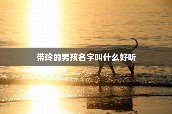 带玲的男孩名字叫什么好听