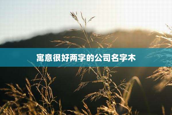 寓意很好两字的公司名字木