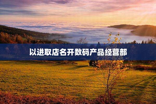 以进取店名开数码产品经营部
