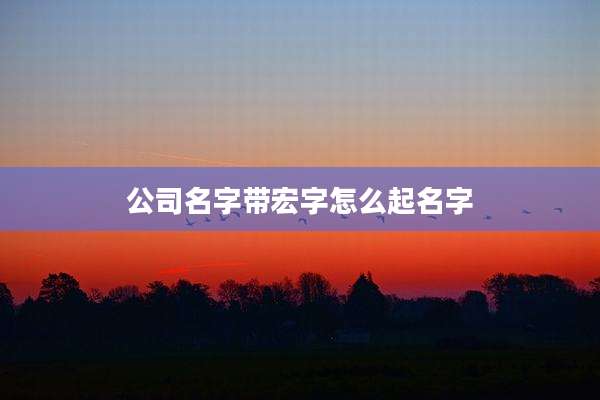 公司名字带宏字怎么起名字