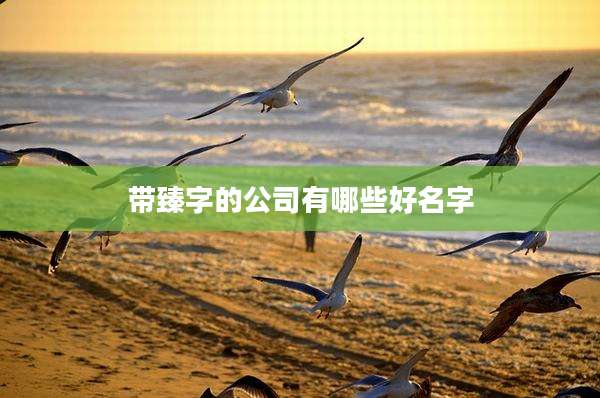 带臻字的公司有哪些好名字
