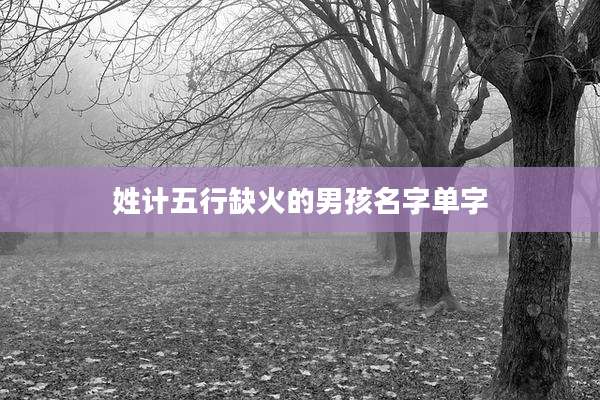 姓计五行缺火的男孩名字单字