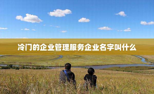 冷门的企业管理服务企业名字叫什么