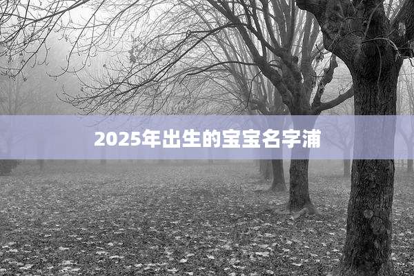 2025年出生的宝宝名字浦