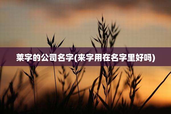 莱字的公司名字(来字用在名字里好吗)