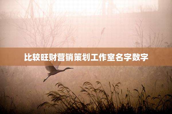 比较旺财营销策划工作室名字数字