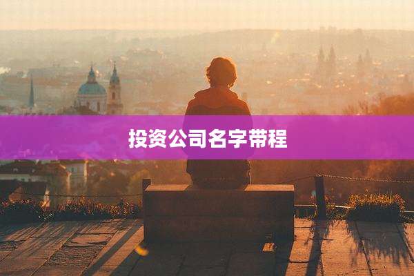 投资公司名字带程