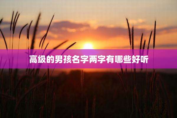 高级的男孩名字两字有哪些好听