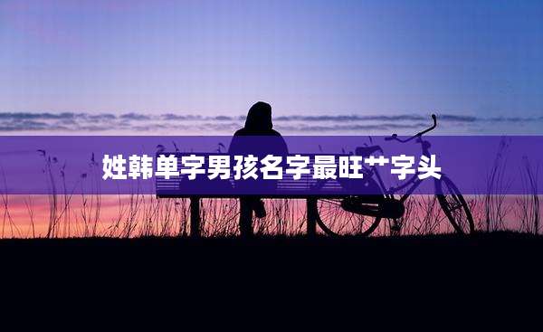姓韩单字男孩名字最旺艹字头