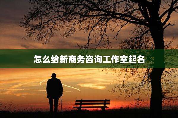怎么给新商务咨询工作室起名