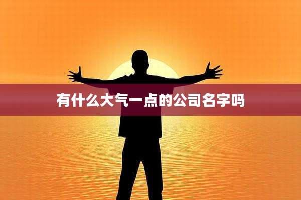 有什么大气一点的公司名字吗
