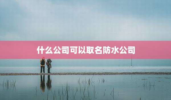 什么公司可以取名防水公司