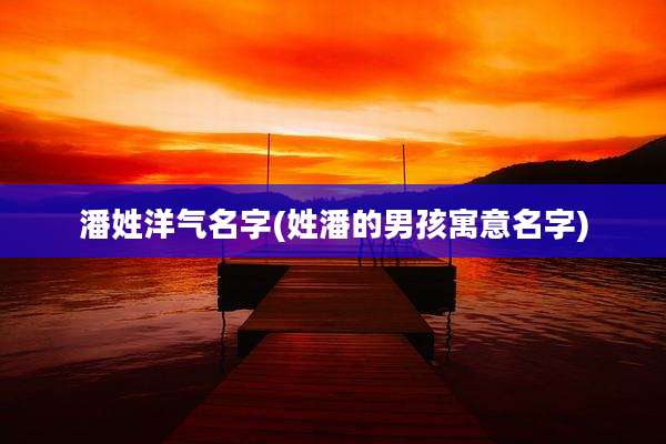 潘姓洋气名字(姓潘的男孩寓意名字)