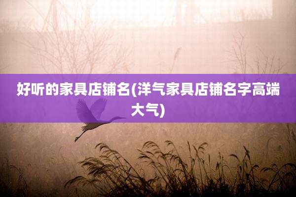 好听的家具店铺名(洋气家具店铺名字高端大气)