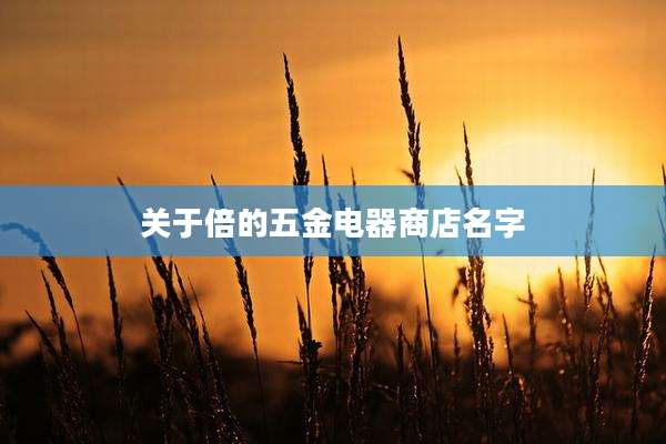 关于倍的五金电器商店名字
