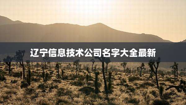 辽宁信息技术公司名字大全最新
