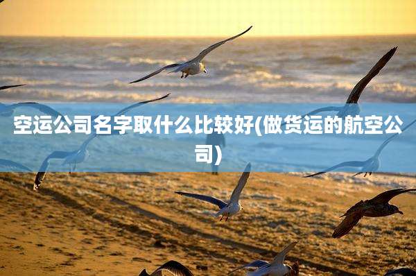空运公司名字取什么比较好(做货运的航空公司)