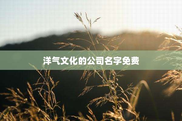 洋气文化的公司名字免费
